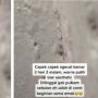 Wanita Cat Kamar Warna Putih Agar Estetik, Auto Nyesek Lihat 'Coretan' Hasil Karya Emak