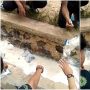 Viral Sekumpulan Pemuda Buang Tepung Kadaluarsa di Selokan, Tuai Perdebatan Warganet