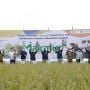Program Makmur Pupuk Indonesia Tingkatkan Produksi Petani Hingga 44 Persen