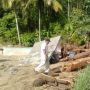 Banjir Landa Dua Desa di Tapsel Sisakan Kayu Besar-Rusak Bendungan