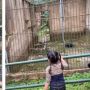 Satu Keluarga Wisata ke Kebun Binatang, Ngakak Lihat Koleksi Hewan yang Dipamerkan