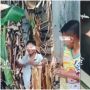 Diduga Ikut Tren 'Salam dari Binjai', Bocil Alami Cedera Tangan