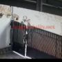 Pencurian Kucing Persia di Bogor Viral, Aksinya Terekam CCTV