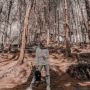 7 Tempat Wisata Majalengka yang Mempesona Keindahan Alamnya