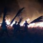 Diperkirakan 10 Ha Lahan Pulau Rinca Terbakar, Bagaimana Nasib Komodo?