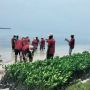 Cegah Abrasi di Kepulauan Seribu, Masyarakat Diimbau Perbanyak Tanam Bibit Mangrove