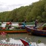 Kisah Pejuang Mangrove di Lampung Timur, Berawal Baku Hantam Berujung Pelestari Lingkungan