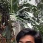 Pria Pamer Pemandangan Sekeliling Rumah, 'Fix Gak Ada yang Mau Kerja Kelompok di Sana'