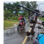 Pohon Tumbang Sebabkan Jaringan Lisrrik Rusak di Gunungsitoli