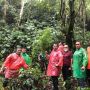 Polisi Temukan Ladang Ganja di Kaki Gunung Kerinci Jambi