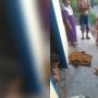 Tega Kali, Bayi Perempuan Dibuang di Depan Rumah Warga di Sumut
