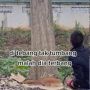 Pohon Ditebang Tak Tumbang Malah 'Terbang', Publik: Jangan Sampai Masuk Grup WA Keluarga