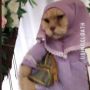 Ikut Kondangan Kucing Pakai Gamis Lilac, Ekspresinya Bikin Ngakak