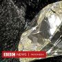 Berlian Rp39 Miliar Dibeli di Pasar Loak dan Hampir Dibuang