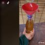 Wanita Bagi Tips Bikin Minyak Goreng Sendiri dari Bahan Ini, Malah Dikritik: Percuma!