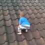Viral Bayi Merangkak di Genting Rumah, Warganet Ketar-ketir: Kasihan Si Dedek