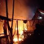 Kebakaran Hebat Lalap Kandang Ayam, Pemilik Rugi Hingga Rp500 Juta Lebih