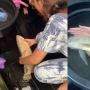 17 Tahun Dipelihara, Pemilik Nangis Pas Tahu Ikan Arwana Kesayangannya Mati