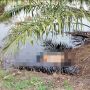 Pria Tua Ditemukan Tewas di Kebun Sawit Bengkalis, Penyebab Masih Misterius