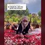 Perempuan Ini Banjir Pujian Setelah Gantikan Foto Vanessa Angel di Makam