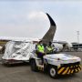 Tiba di Tanah Air,  2 Juta Dosis Vaksin Pfizer Langsung Didistribusikan ke 10 Provinsi