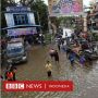 Banjir Kalbar, Walhi Sebut Hutan Tidak Mampu Lagi Jamin Keselamatan Manusia