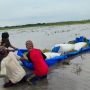 Sungai Way Sekampung Meluap, 425 Ha Tanaman Padi Terendam Banjir