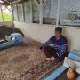 Petilasan Embah Jambrong di Bandung Barat Ramai Pengunjung Jelang Pilkades Serentak
