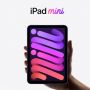 iPad Mini 6 Masuk Indonesia, Harga Mulai Rp 9,5 Juta