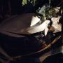 Satu Orang Tewas Dalam Kecelakaan Honda Civic vs Kereta Api di Pasuruan
