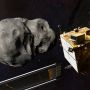 NASA Lacak Asteroid Besar Sebesar Gedung Sedang Menuju Bumi di Pertengahan Desember