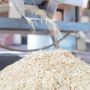 Sudah Diguyur Anggaran Rp 12,5 Miliar, Rice Milling di Babulu Belum Dibangun, Duitnya?