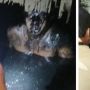 Viral Warga Temukan Sosok Menyeramkan di Gorong-Gorong, Publik: Kasihan tapi Kesal