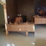 Berasa di Rumah! Viral Kandang Sapi Mewah, Lantainya Dilengkapi Keramik