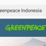 Greenpeace Jawab Tudingan KLHK Soal Kerja Sama dengan Perusahaan Penyebab Deforestasi