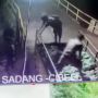 Kemarin Pemotor Dilindas Truk di Lemah Abang, Covid-19 di Karawang dan Berita Pilihan Lain