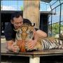 Meski Sudah Jinak, Ini Jenis Harimau yang Dipelihara Konglomerat Asal Sukoharjo