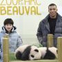 Kylian Mbappe Jadi Wali Baptis Kelahiran Bayi Panda Kembar