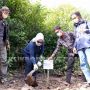 Seribu Pohon Mangrove Diharap Selamatkan Pesisir Bontang