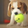 8 Arti Mimpi Main dengan Anak Anjing: Ingin Dilindungi dan Sedang Bahagia!