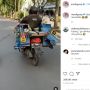 Seekor Monyet Melaju Kencang di Jalan Raya, Diduga Menuju Sirkuit Mandalika