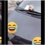 Mobil Disenggol Orang, Pelaku Kabur Beri Makanan Ini Sebagai Permintaan Maaf