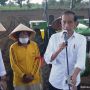 Tanam Jagung di Jeneponto, Jokowi: Tak Usah Impor Lagi