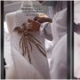 Bikin Baju Mewah untuk Pernikahan Paling Bikin Syok, Mempelainya Bukan Manusia Tapi Ini