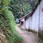 Apes Menuruti Google Maps, Mobil Pikap Jadi Nyasar dan Terjebak di Jalan Setapak