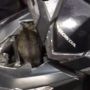 Bikin Kaget, Kucing Sembunyi di Dalam Bodi Depan Motor Viral