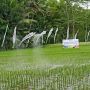 Canggih dan Keren! Ada Drone Semprot Pupuk ke Sawah Svargabumi Borobudur