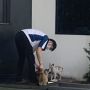 Cerita Bos WNA Pelihara Kucing Liar di Kantor, Karyawan Ikut Kecipratan Untung