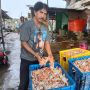 Jaga Stabilitas Harga, Gubernur Lampung Arinal Djunaidi Minta Rajungan Dijual di Pasar Domestik