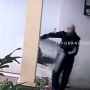 Viral Aksi Pencurian 2 Anjing Chihuahua Mini Pom Terekam CCTV, Pelaku Nekat Lompat Pagar